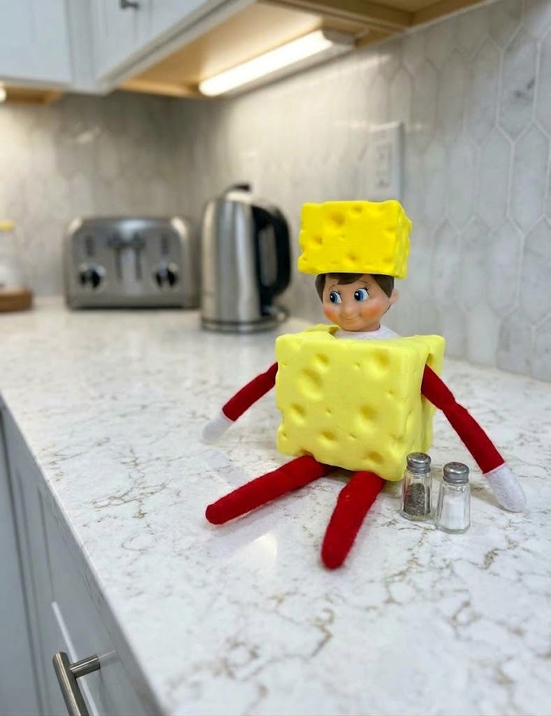 Swiss Cheese Costume