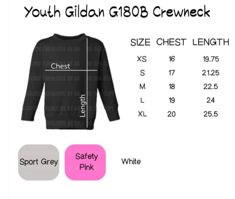 100 Days Girl of School Sweatshirt, Kids 100th Day Tee Youth Sweatshirt