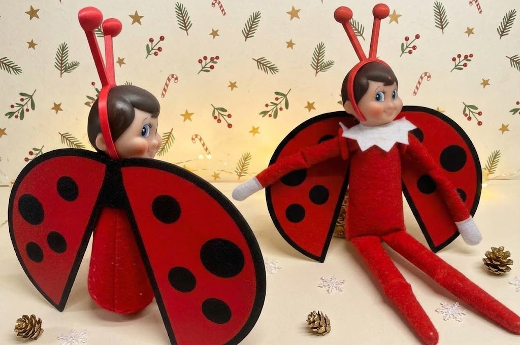 Elf Lady Bug Cubed Prop