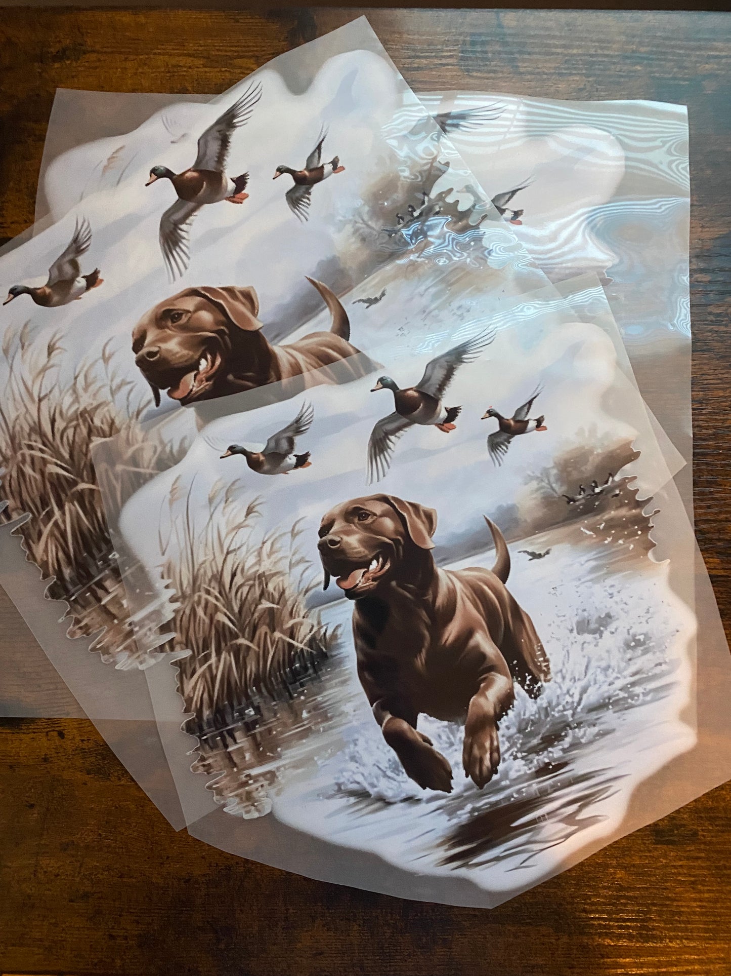 Retro Chocolate Lab & Mallard Ducks DTF Print