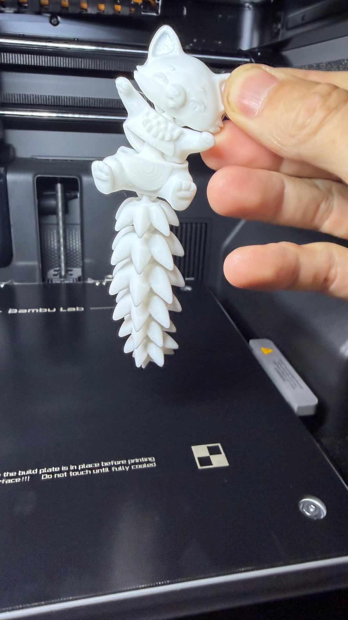 3D Printed Fluffy Tail Cute Flexi Fox Toy & Keychain