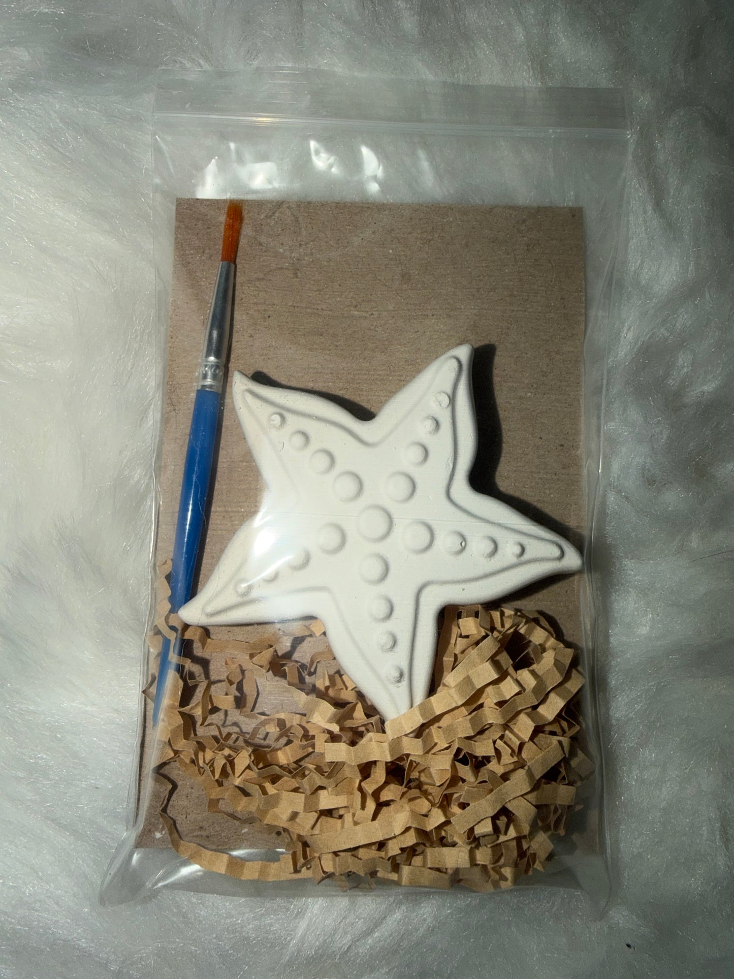 Under The Sea Party Favors Plaster Kit