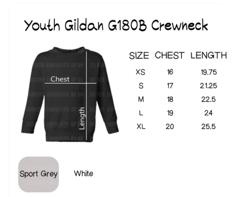 100 Days Boy of School Sweatshirt, Kids 100th Day Tee Youth