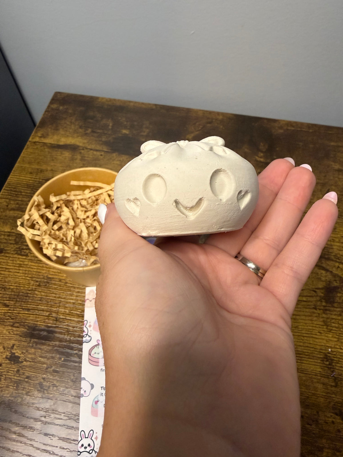 Custom Bow Dumpling Plaster Craft Kit
