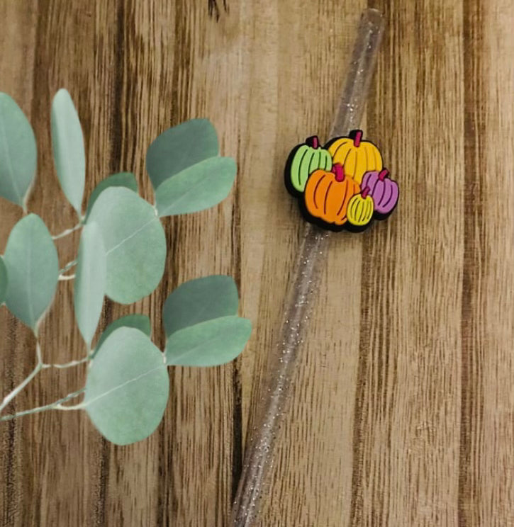 Colorful Pumpkins Straw Charms